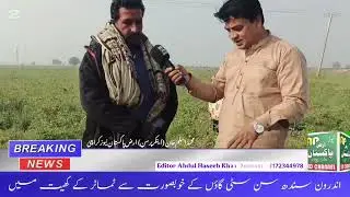 AP news Karachi . Andruni send ke khubsurat lailahate khet. Aur kisan bhaiyon ki mushkil hath