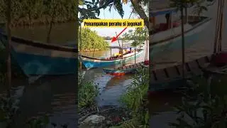 Perahu mancing sijogokali #sijogokali #fishing #mancing #perahu