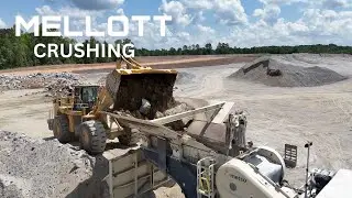 Mellott: For the Life-Cycle of your Operation!