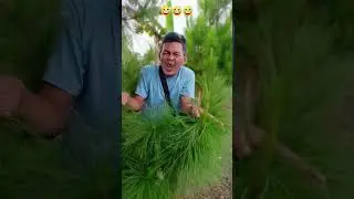 Comedy😅😅😅 #fyp #viral #funny #comedyforever #funnypictures #comedy #laugher #funnyimages #funnymemes