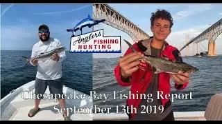 Chesapeake Bay Fishing Report September 13th 2019
