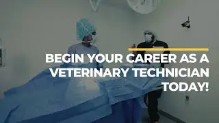 Non Traditional Careers in Veterinary Technology
