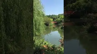 Toowoomba Japanese Garden, Queensland, Australia.