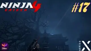 Ninja Gaiden #17 FR : Ravin Rugissant