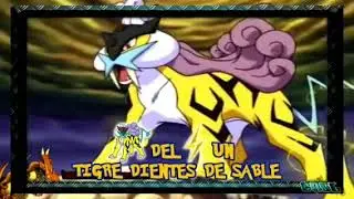 Rap de Suicune, Entei y Raikou