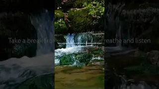 Pause from the fast scroll of media to breathe and let the calming sound of nature soothe your mind.