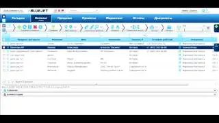 Bluejet web CRM. Раздел Лиды
