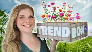 TREND BOX April 2025 Unboxing & Verlosung