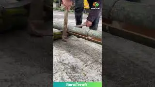 Bamboo Chop Challenge! 🎍 This Guy's a Bamboo Bending Master! #bambooworking #crafty #diyproject
