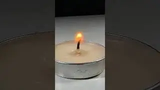 Macro candle #macro #macrophotography #macrocamera #macronature #macroiphone #macrozoom #ASMR