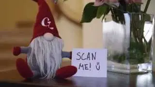 Gnoments:  The Video