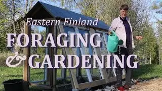 06 Garden Beginnings & Foraging Wild Greens. Finnish Homestead Life.