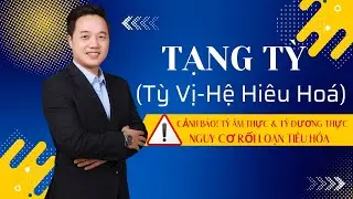 TỲ VỊ LÀ GÌ? CÁCH CÂN BẰNG & DƯỠNG TỲ VỊ HIỆU QUẢ!