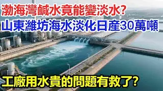 渤海湾咸水竟能变淡水？山东潍坊海水淡化日产30万吨，工厂用水贵的问题有救了？#大國工程 #科普 #水利工程 #中國 #渤海