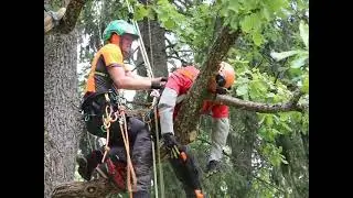 BSTCC 2021 Hummuli Manor park. Aerial rescue