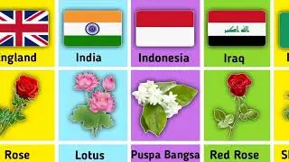 National flower from Different countries | Country Comparison | #comparison