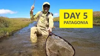 Spring Creek Dry Fly Action and Tips // Day 5 Patagonia Day-by-Day Series