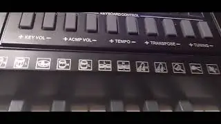 mostrando mi piano keyboard pro-350