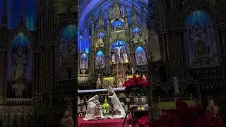 Notre Dame Basilica, Montreal   Winter Walk