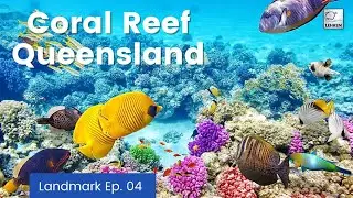 Landmarks Ep. 04 | Coral Reef Queensland, Australia | Geography, Ecology, Threats, & Facts | TLF