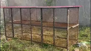Home made Hens cage expenses and all details 