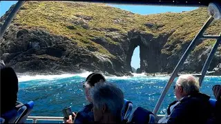 Scenic Cruise Around Lord Howe Island | Crystal Waters & Hidden Gems