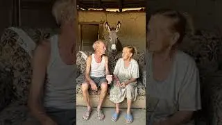 #humor #caipira #memes #comedia #meme #memesbr #memesvideo #com&eacute;dia #comedian #piadas #engra&ccedil;ado