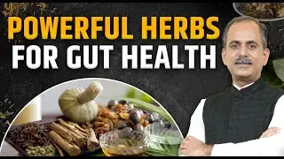 Powerful Herbs | Gut Health | Acharya Manish Ji | HiiMS Therapy
