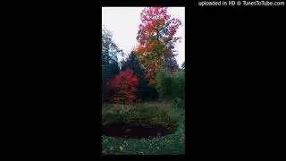Best german underground hip hop tracks umdieckebringer rap