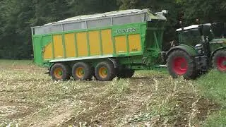 Class Jaguar 960  mit Orbis 750 10 reihig unterwegs im Mais in der Gegend von Hainersdorf  Ilz und d