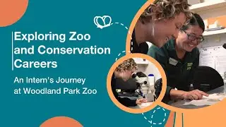 Exploring Zoo and Conservation Career Paths: An Intern's Journey at Woodland Park Zoo