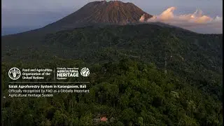 Salak Agroforestry System in Karangasem - Indonesia's First GIAHS Site (Distan PP Kab. Karangasem)