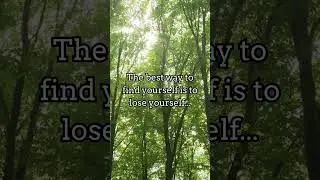 True purpose is found in service! Watch how giving creates meaning! #Service #Purpose #shortsfeed