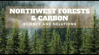 Northwest Forests & Carbon  Science and Solutions