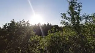 DJI FPV Drone Rippin' and Slappin' Branches w/ Slow-Mo Touches