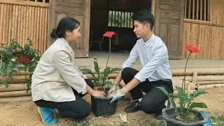 From a Small Flowerpot, the CEO and the Poor Girl Emerge a Stormy Love Story.