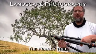 Landscape Photography: The Frandy Tree