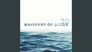 Calm Ocean Ambient