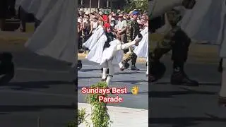 Evzones Greek Presidential Guard Sunday Parade Athensgreece #travel #history #greece #shorts
