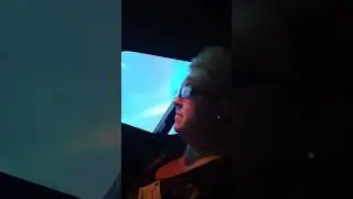Boeing 737-800 Level D Simulator flight.