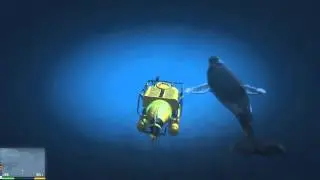 GTA 5 PC Humpback Whale sighting