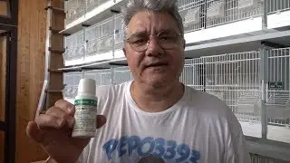Preveniamo l'Acariosi Respiratoria!