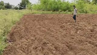 we are now planning to grow vegetables @ farm. #FieldPreparation.