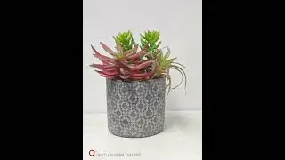 Galvanized flower pots are reasonably priced with high cost performance.
