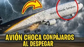 Bird strike during takeoff: How did you avoid disaster?