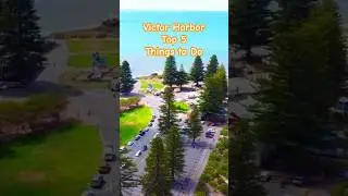 🐟 Victor Harbor Top 5 Things to do #victorharbor #southaustralia #wildlifesanctuary