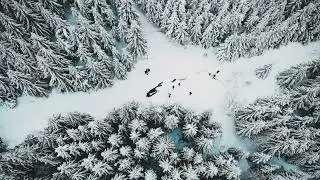 [EMOTIVE, REFLECTIVE, STRINGS MUSIC] A FRAGILE FROST - 2024