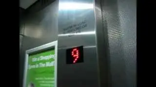 Tour of the lifts at Wood Green