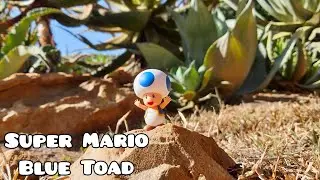 Super Mario Blue Toad 2.5