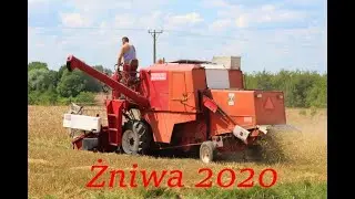 Żniwa 2020 - Jęczmień Ozimy✔Case 8-41 International✔Ursus c-360✔Podkarpacie✔Mafia Of Cousins✔